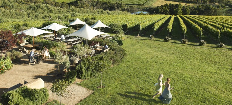 montalto vineyard & olive grove mornington peninsula winery