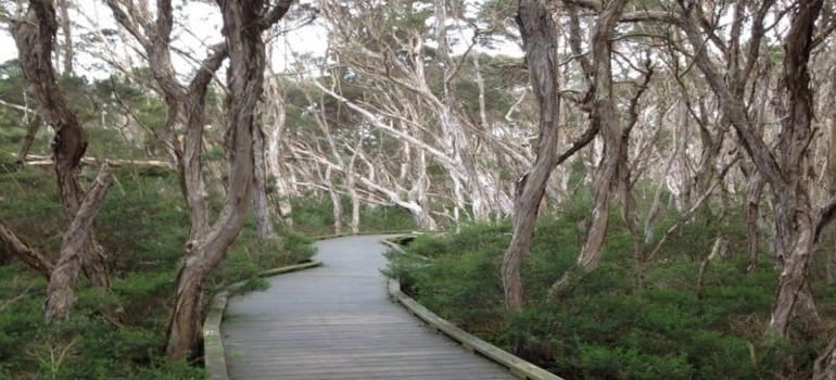 mount martha's walking trails