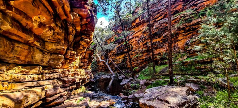 mount remarkable national park