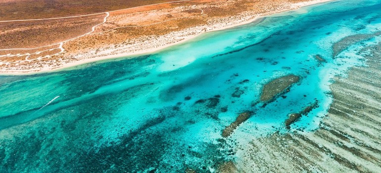 ningaloo reef