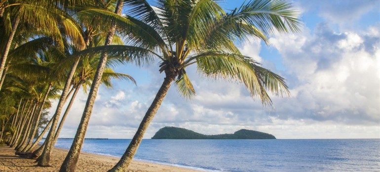 palm cove beach