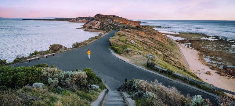 point nepean national park mornington peninsula