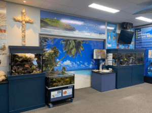 port macquarie marine discovery centre