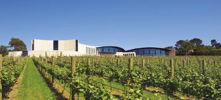port phillip estate winery in mornington peninsula