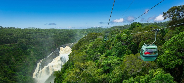 rainforest cableway