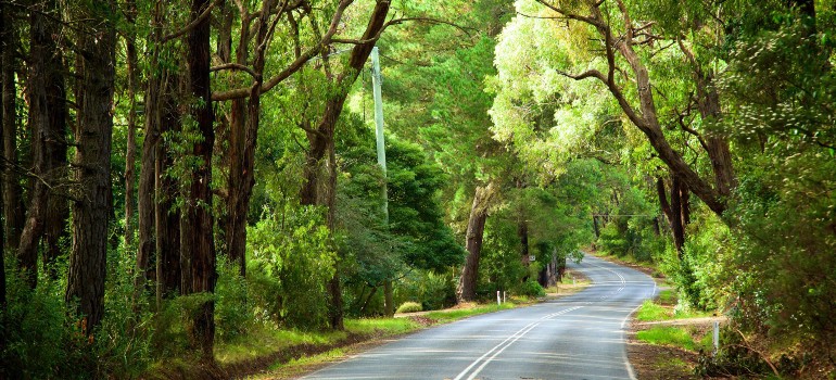 red hill south