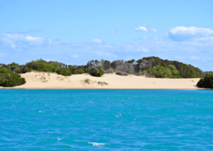 rigby island