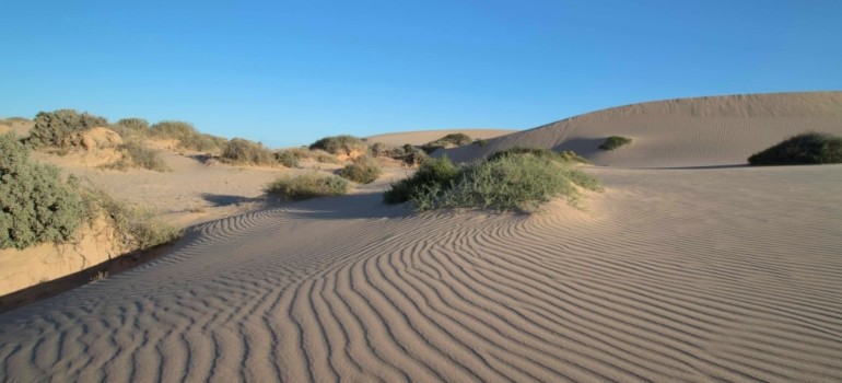 sand dunes in rainbow beach