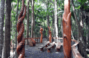 sea acres rainforest centre port macquarie