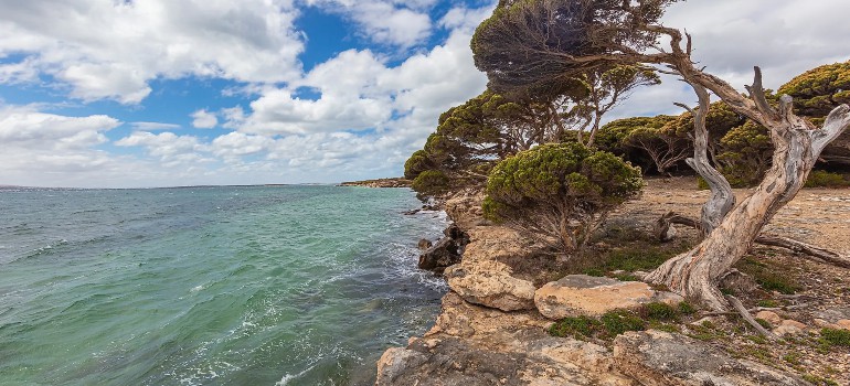 spencer gulf