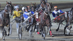 tabcorp park racing