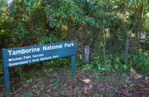 tamborine national park