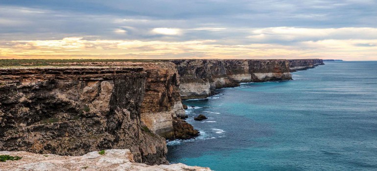 the head of bight ceduna whale watching