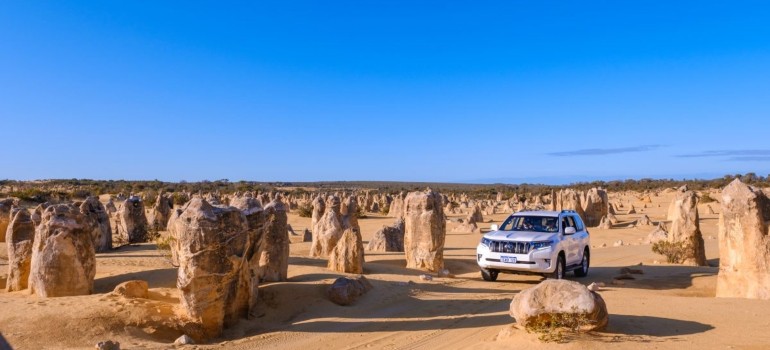 the pinnacles desert