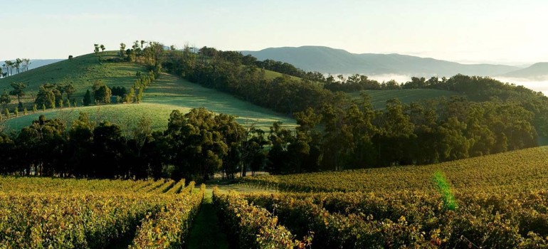 the secrets of yarra glen