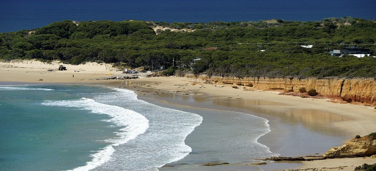 things to do in anglesea going to the beach