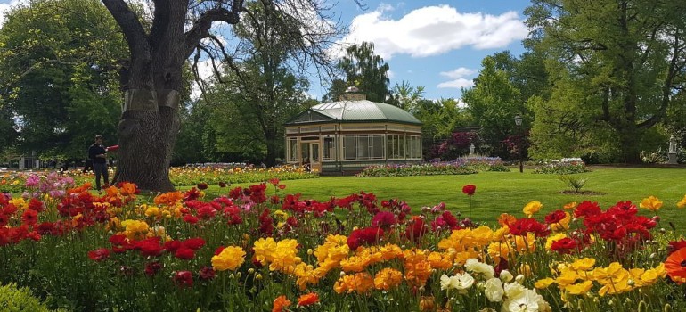 things to do in ballarat going to the ballarat botanical gardens