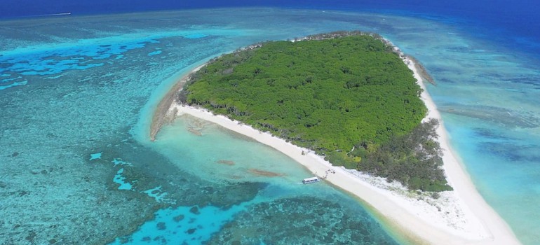 things to do in bundaberg going to the lady musgrave island