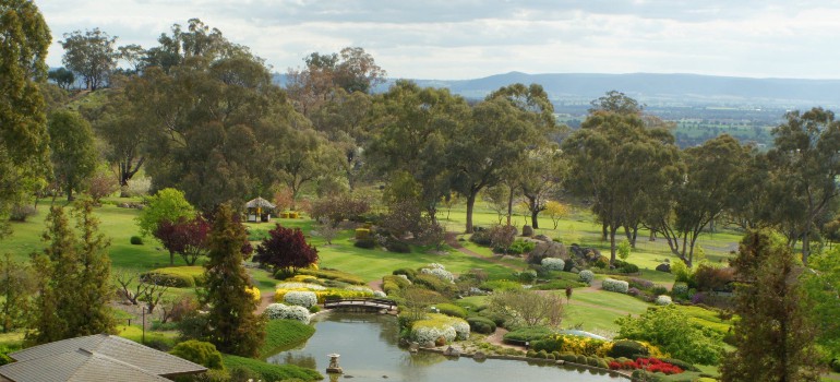 things to do in cowra visiting the japanese garden