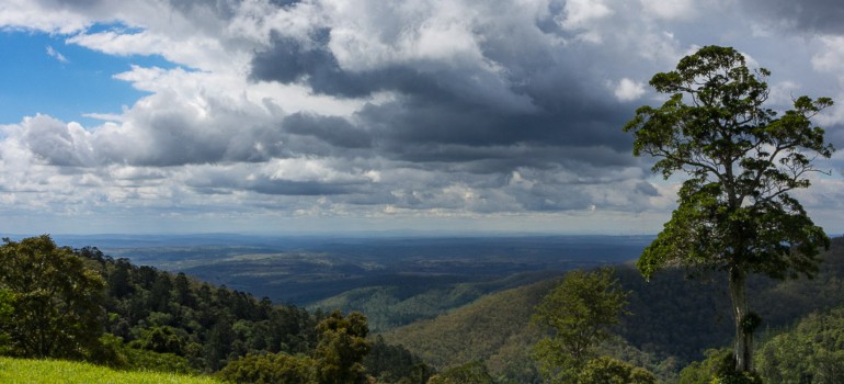 things to do in dalby