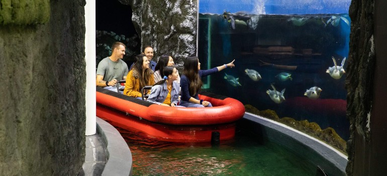 things to do in darling harbour visiting the sydney aquarium