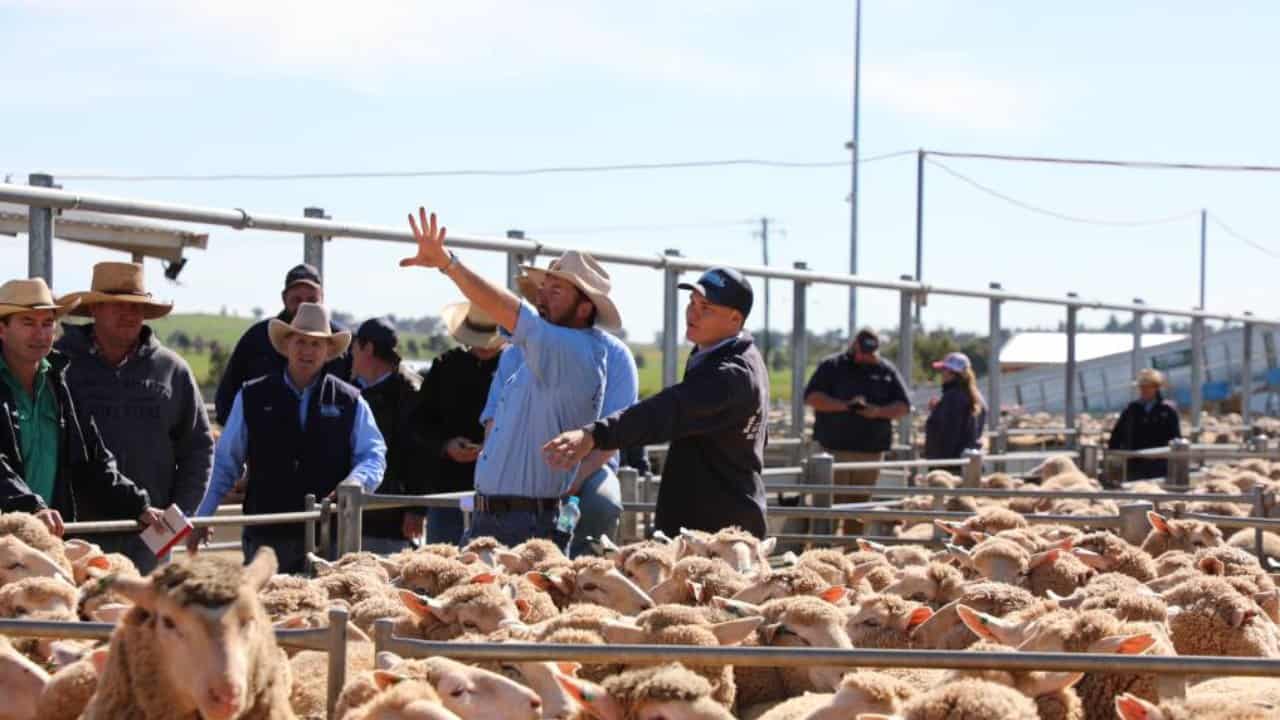 things to do in forbes central livestock exchange