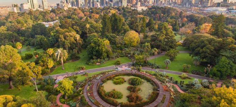 things to do in melbourne visiting the the royal botanic gardens