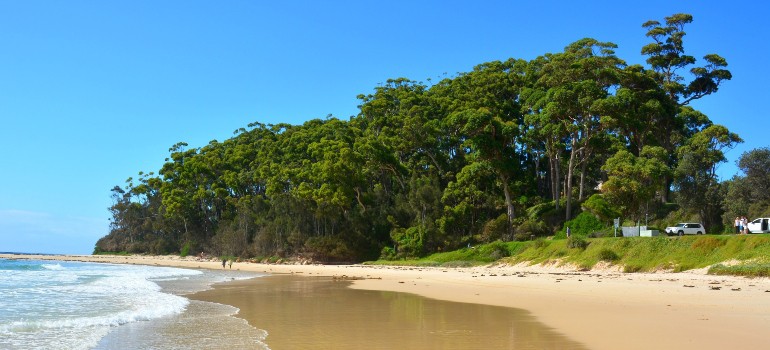 things to do in mollymook going to the beach