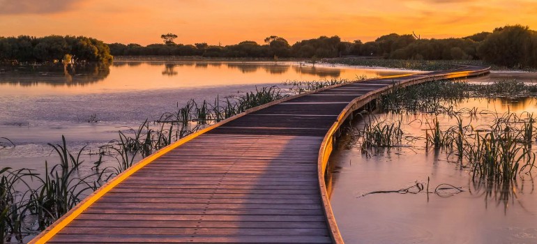 things to do in naracoorte going on the naracoorte creek walk