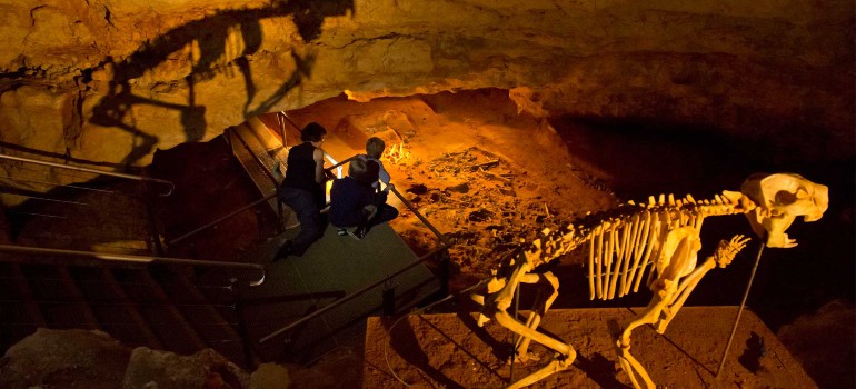 things to do in narracoorte visiting the naracoorte caves national park