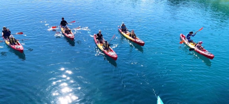 things to do in port stephens kayaking