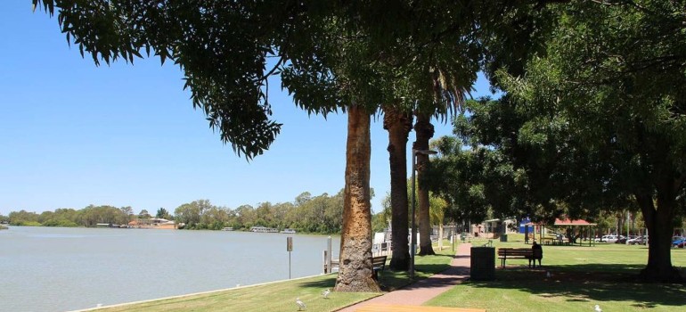 things to do in renmark visiting the riverfront