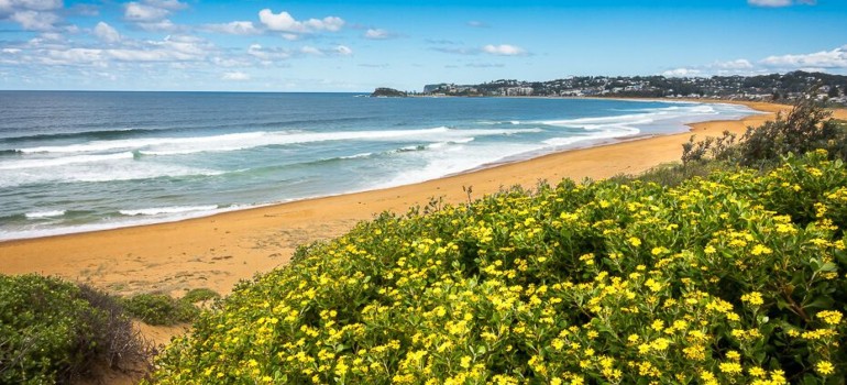 things to do in terrigal visiting the wamberal beach