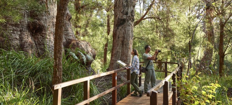 things to do in walpole visiting the walpole nornalup national park