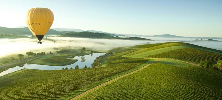 things to do in warburton going to the yarra valley