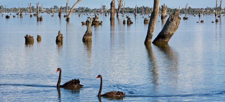things to do in yarrawonga going to the lake mulwala