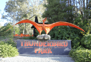 thunderbird park