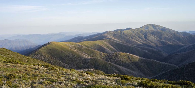 victoria high country