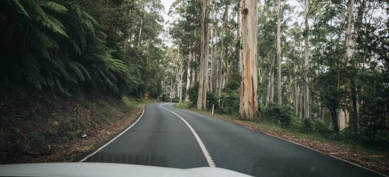 warburton highway