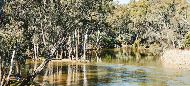 warby ovens national park
