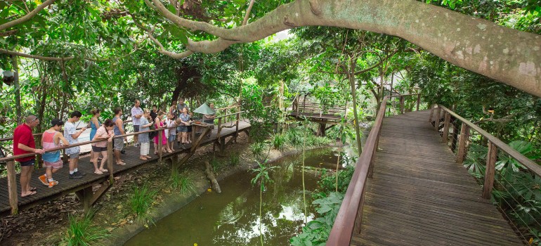 wildlife habitat in port douglas
