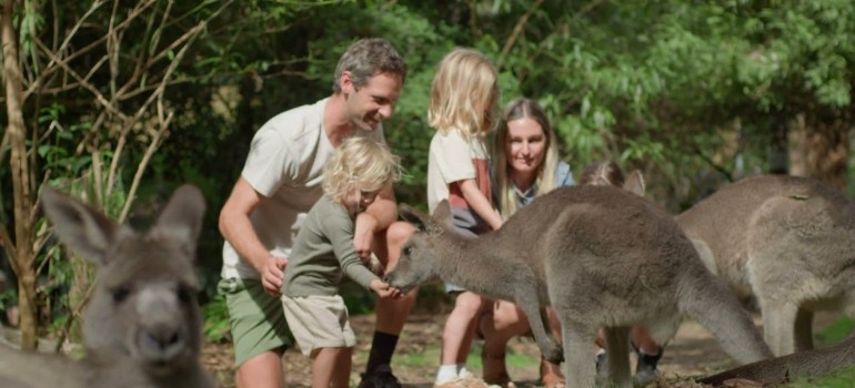 wildlife sanctuary potoroo palace things to do in merimbula