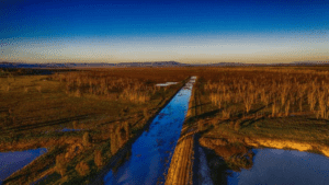winton wetlands