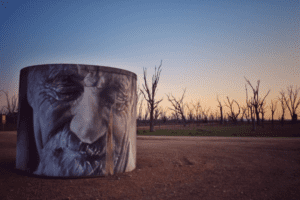 winton wetlands art trail