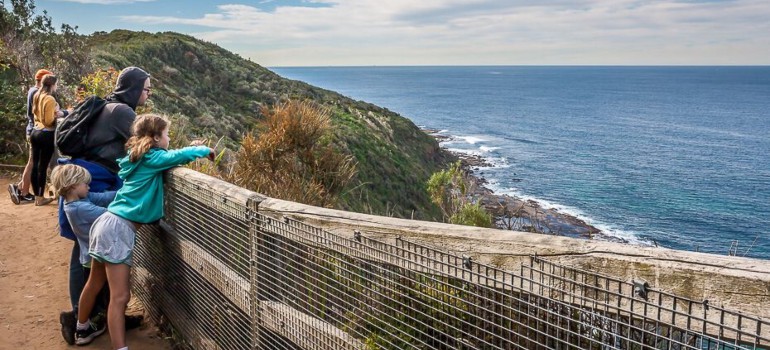 wyrrabalong national park the entrance