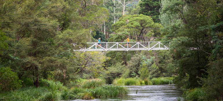 yarra trail
